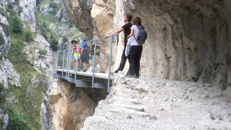 Frame-07-02-2019-07-37-10