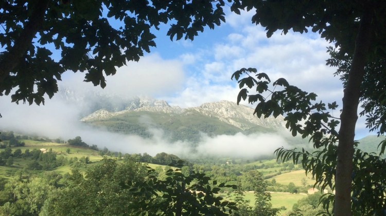 Frame-07-02-2019-07-43-09