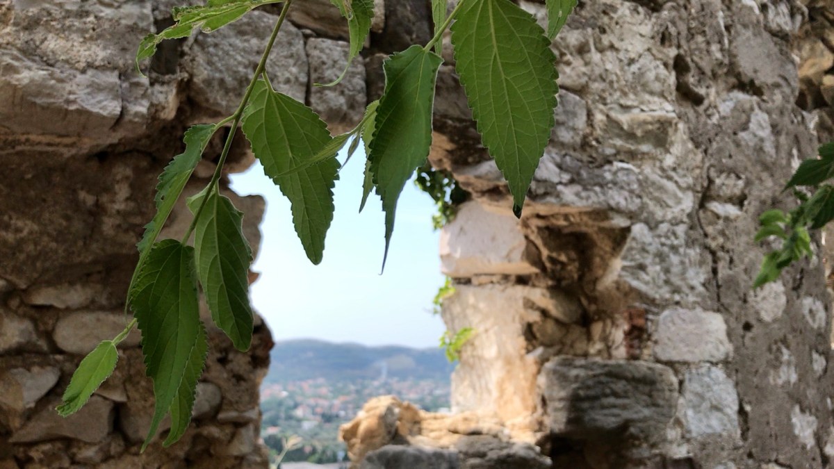 Among the ruins in the Lost City of Stari Bar,&nbsp;Montenegro